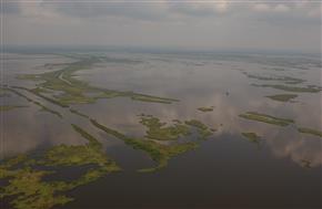 As coastal marshes turn into open water, the economic and ecological health of the nation is increasingly threatened.